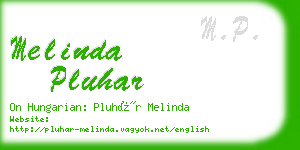 melinda pluhar business card